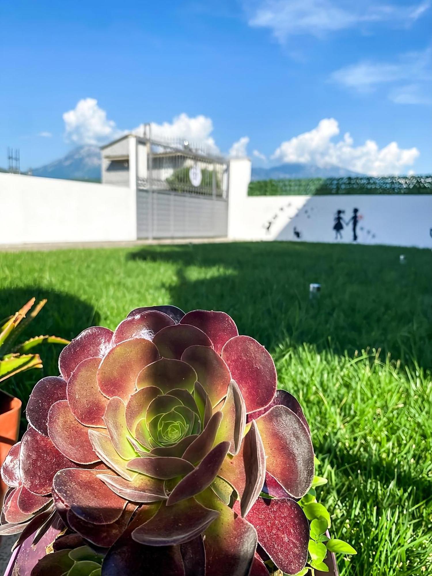 Villa Tabaku Berat Exterior foto